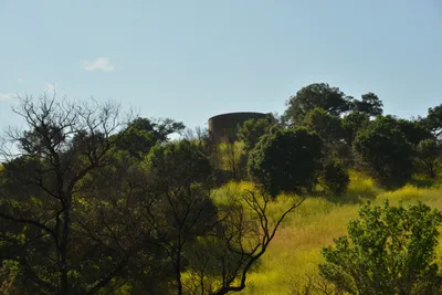 DSC_6456 (Large).JPG